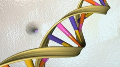 В США создали из молекул ДНК «наномедузу» для ловли раковых клеток
