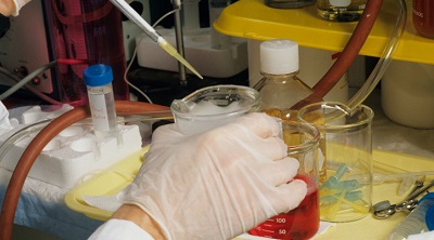 Американские медики заставили раковые клетки самоуничтожаться