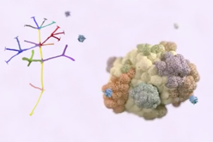 Ученые нашли способ заставить иммунную систему самостоятельно бороться с раком