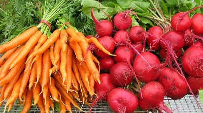 Список продуктов для профилактики рака от израильских учёных