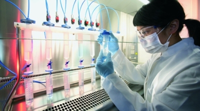 Опухоли семи органов удалось вылечить одним антителом