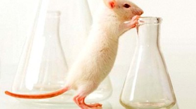 Голодание увеличит продолжительность жизни больных с раком головного мозга