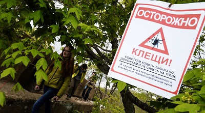 Каждый второй клещ в Москве и Подмосковье заражен боррелиозом