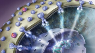 Российские ученые создали первый препарат для лечения почечно-клеточного рака