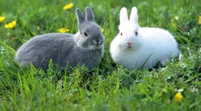 Ученые нашли способ улучшить прогноз для больных раком крови