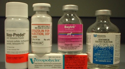 Великобритания призывает развитые страны ограничить антибиотики