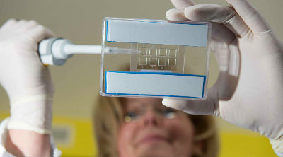 Новые правила о защите данных пациентов усложнят проведение онкоисследований