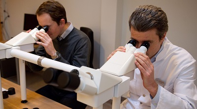 Агрессивность рака простаты недооценивают в половине случаев