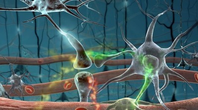 В Нижнем Новгороде открылся Институт «живых» систем