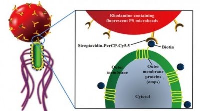 Южнокорейцы создали наноробота для лечения рака