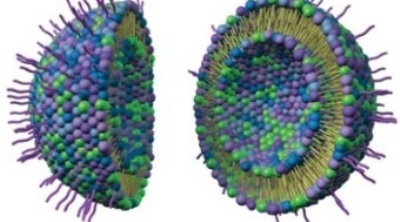 Разработанный в США нанолипогель доставит лекарства внутрь опухоли