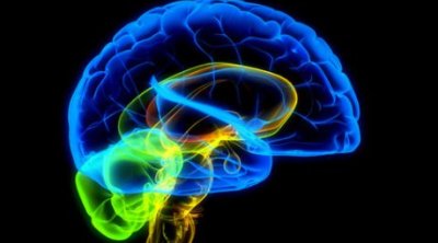 Слияние генов становится причиной развития опухоли мозга